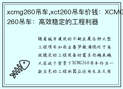 xcmg260吊车,xct260吊车价钱：XCMG260吊车：高效稳定的工程利器